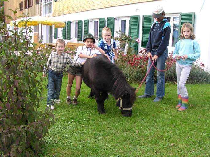 Ferienhof Duerlinde Hittisau Ngoại thất bức ảnh