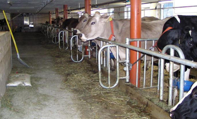 Ferienhof Duerlinde Hittisau Ngoại thất bức ảnh