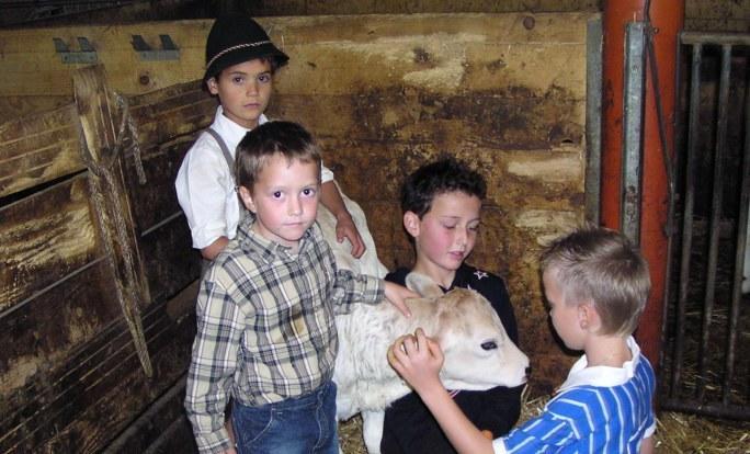 Ferienhof Duerlinde Hittisau Ngoại thất bức ảnh